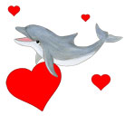 Dolphin Gifts with Hearts
