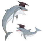 Graduation Dolphins 