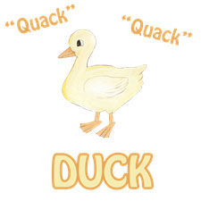 Duck Gifts - Quack