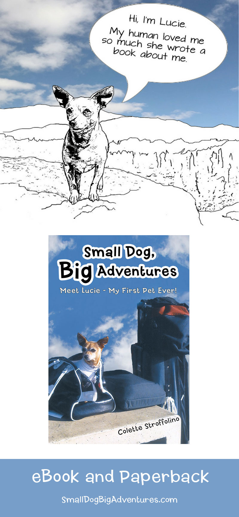 Small Dog, Big Adventures Book